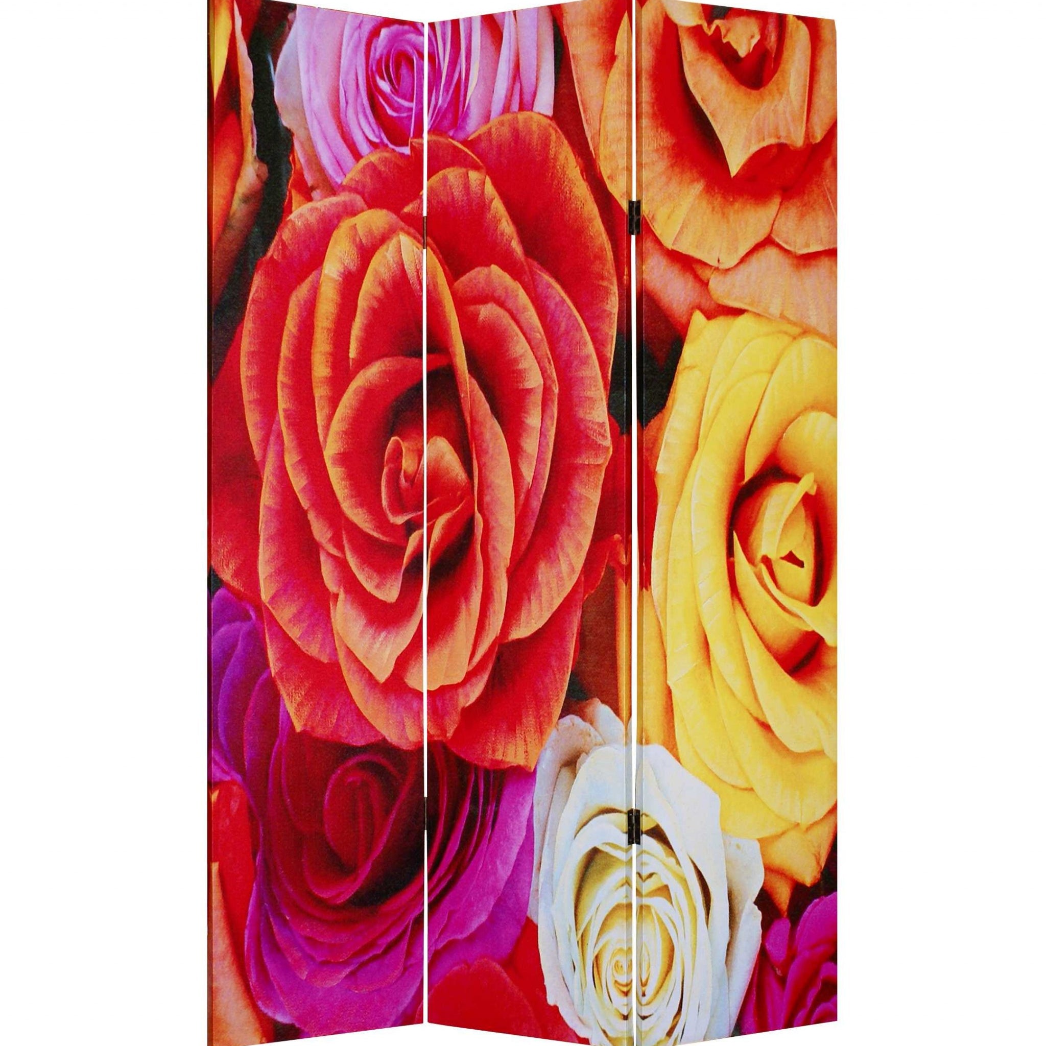 48 X 72 Multi Color Wood Canvas Daisy And Rose  Screen