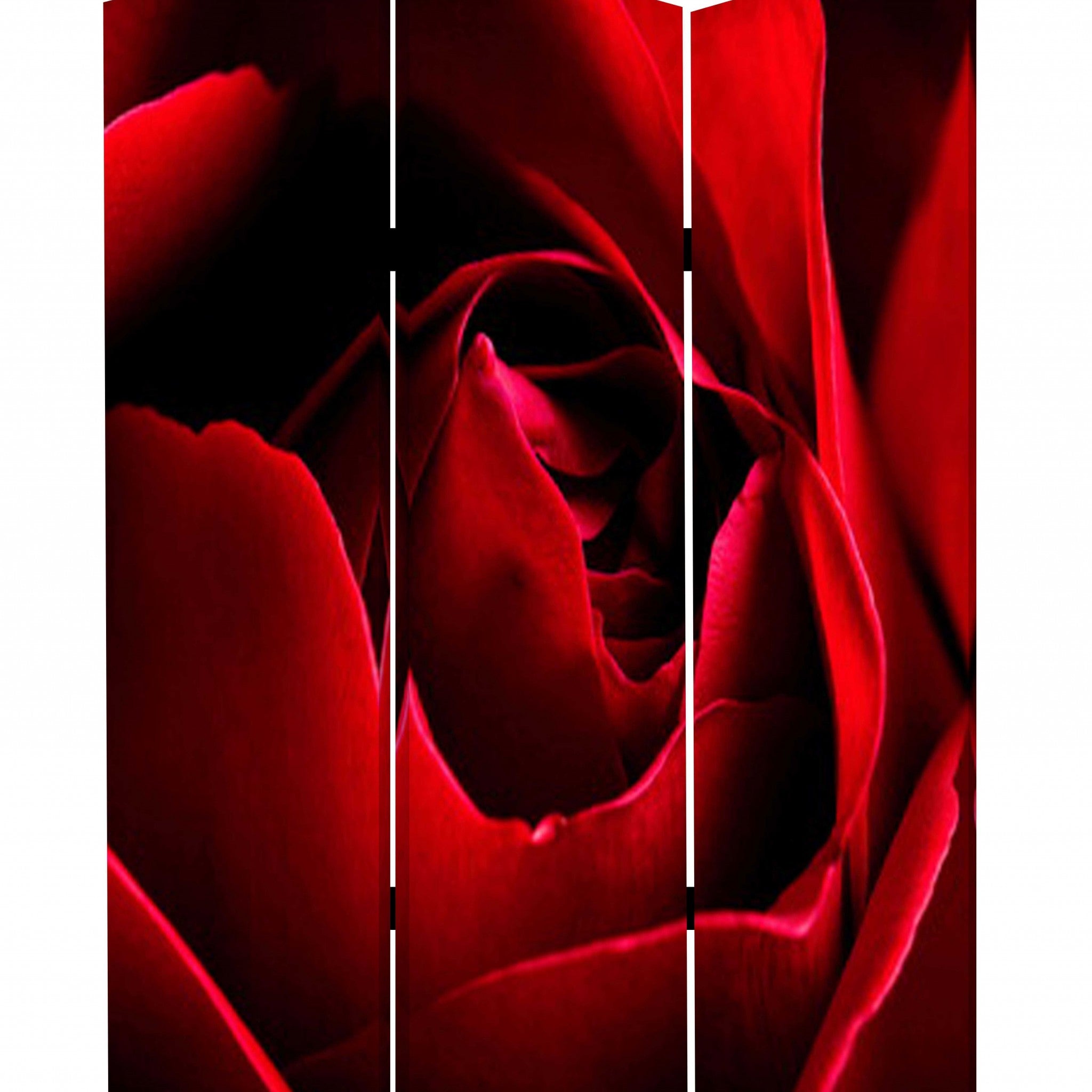 48 X 72 Multi Color Wood Canvas Rose  Screen