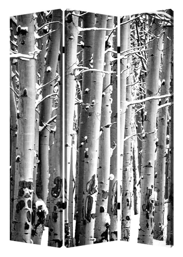 48" X 72" Gray And White Wood Canvas Birch  Screen