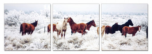 LuxxHomes  24" Multicolor Canvas 3 Horizontal Panels Horses Photo