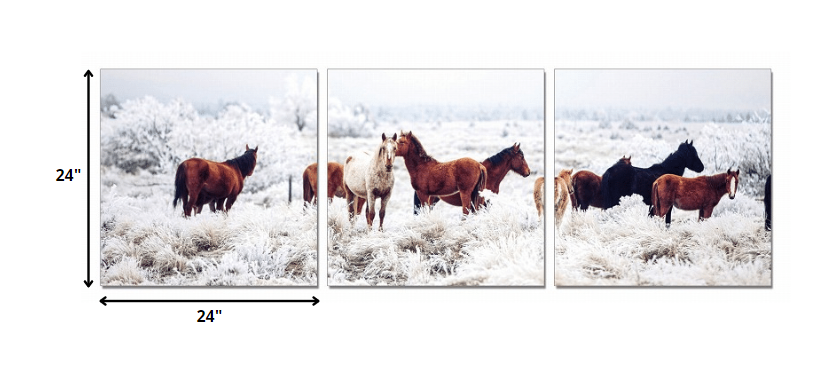 LuxxHomes  24" Multicolor Canvas 3 Horizontal Panels Horses Photo