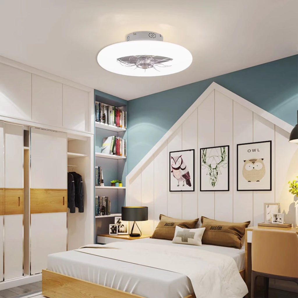 Minimalist Ceiling Fan and Light