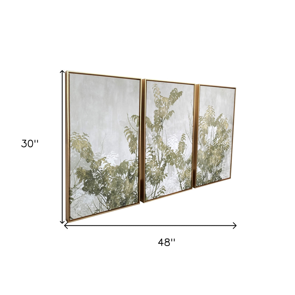 Set of Three Botanical Gold Floater Frame Painting Wall Art